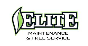 Elite Maintenance and Tree Service (EMTS)